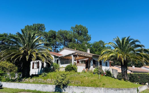 Maison terrain dépendance